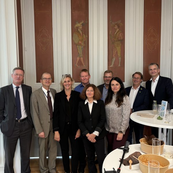 KISMET meets NOVELFOODS in Brussels, October 2024