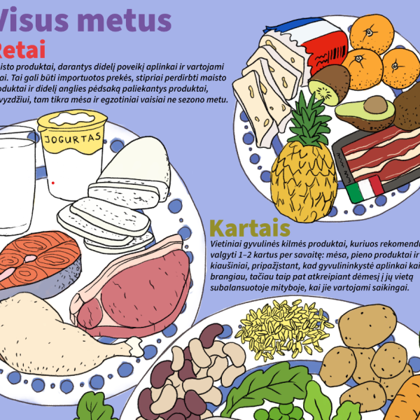 Food Pyramid for Lithuania (excerpt)