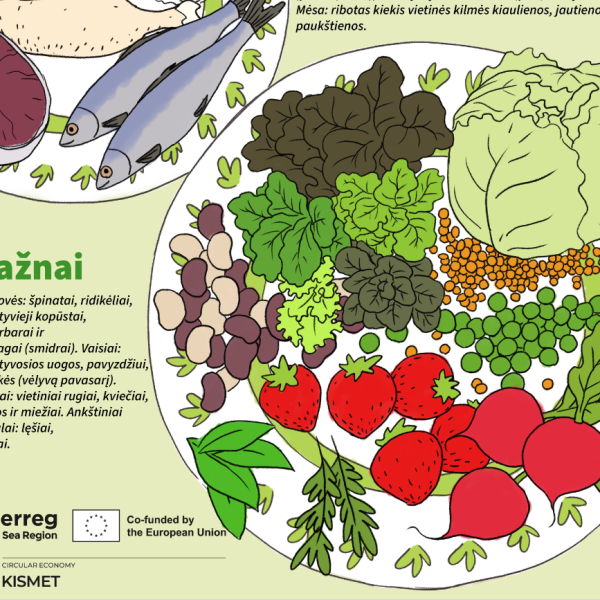 Food Pyramid for Lithuania (excerpt)