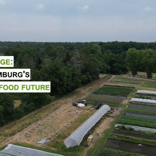 Regenerative Farming, Sustainable Urban Delta, Hamburg